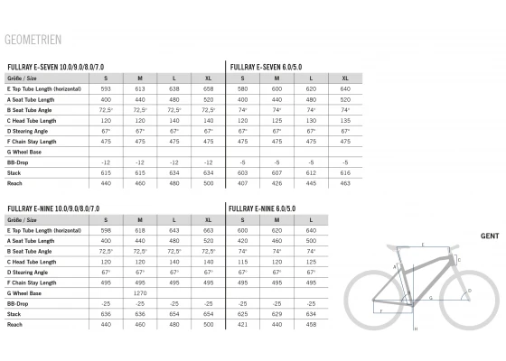 R Raymon FullRay E-Nine 10.0 - Sähkömaastopyörä 6 R Raymon FullRay E-Nine 10.0 - Sähkömaastopyörä - Image 4