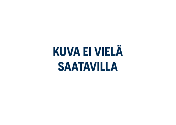 Magura Torx Vaihdetyökalu 3 Magura Torx Vaihdetyökalu